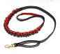 Preview: kainpo_bungee_leash