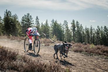 Kainpo_visier_dogscooter_RS_2