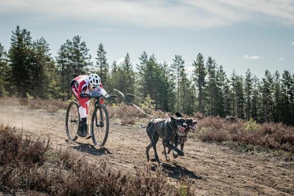Kainpo_visier_dogscooter_RS_2